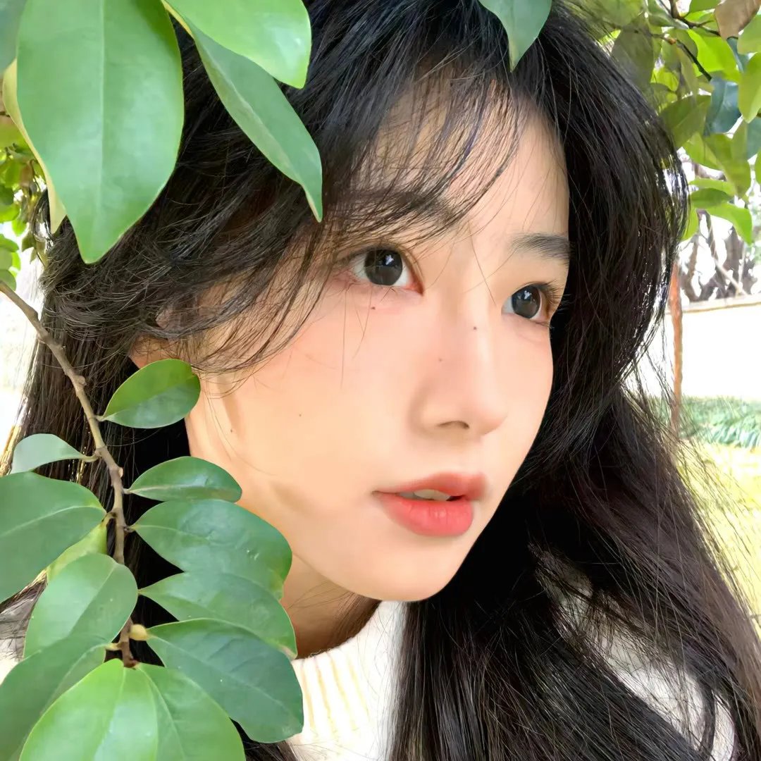 最后的独角兽